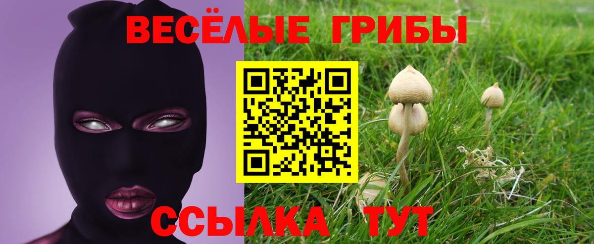 Санкт-Петербург  Псилоцибиновые грибы MAGIC MUSHROOMS  Вход с VPN 
