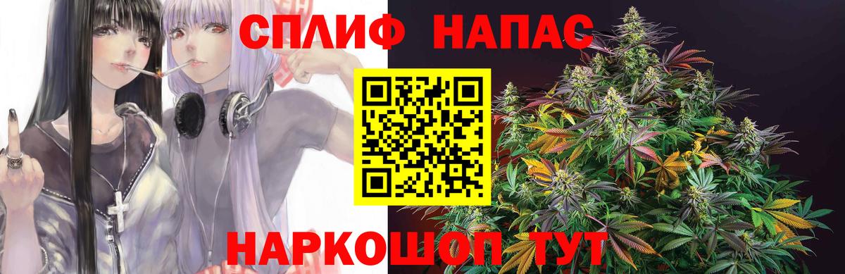 МАРИХУАНА сатива Санкт-Петербург